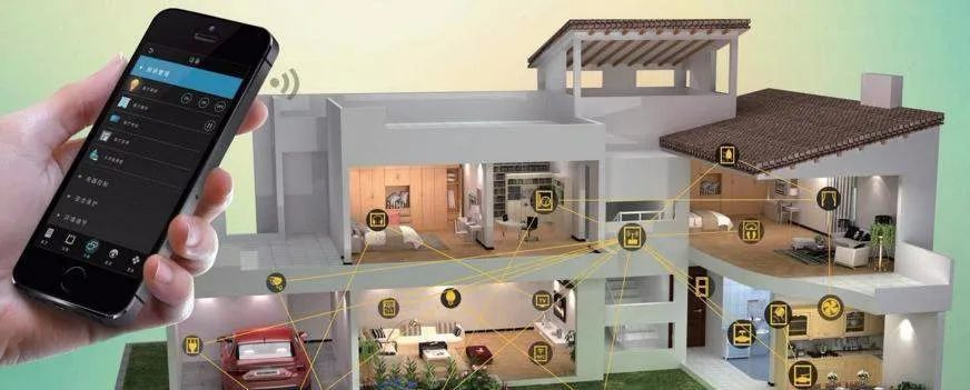 養(yǎng)寶生物 養(yǎng)寶生物