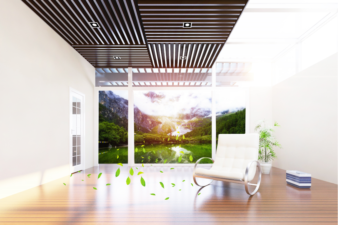 養寶生物 養寶生物