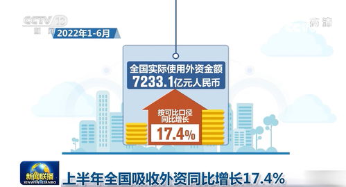 上半年全國吸收外資同比增長17.4%，信息技術咨詢服務成亮點